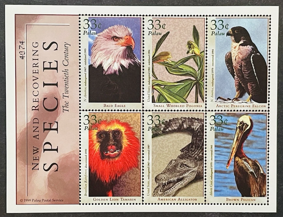 SELLOS DE ESPECIES NUEVAS Y EN RECUPERACIÓN DE PALAU MNH 2000 VIDA SILVESTRE ANIMALES SALVAJES AVES Foto 1 de 1