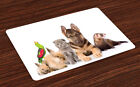 Animal Sets De Table Les Lapins Chat Chien Et Ferret