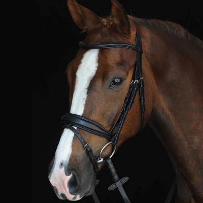 Collegiate Mono Crown Padded Raised Flash Bridle