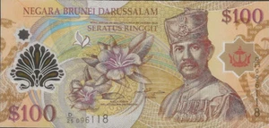 2013 Brunei $100 Ringgit Circulated Banknote. 100 Ringgit Currency Polymer Notes - Picture 1 of 2