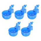  6 Pcs Wasserspender Für Geflügel Japanische Werkzeuge Trinkbrunnen Hühner Taube