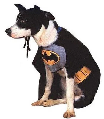 Rubíes, Batman, Disfraz de Perro Grande, Nuevo, con cinturón, capa, piezas de calor y pecho Foto 1 de 4