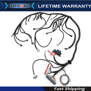 DBC Standalone Wiring Harness 4.8 5.3 6.0 Fits 97-06 LS1 Engine w/ 4L60E USA* - Foto 1 di 14