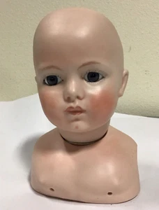BRU Jne 13 Bisque Doll Head & Chest, Gray/Blue Eyes - Signed Adelle, Depose - Picture 1 of 8