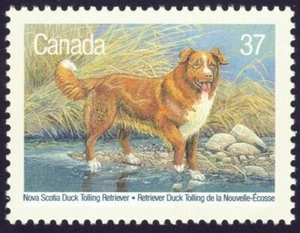 Canada sc#1218 Dogs of Canada: Duck Trolling Retriever, Mint-NH - Picture 1 of 2