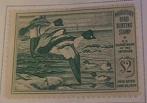 RW16 Federal Duck Hunting Stamps MNH OG Migratory Bird Hunting Stamp 1949 - Picture 1 of 1