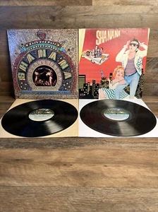 Sha Na Na 2LP'S - Rock 'N' Roll Is Here To Stay - From the street of New York - Bild 1 von 11