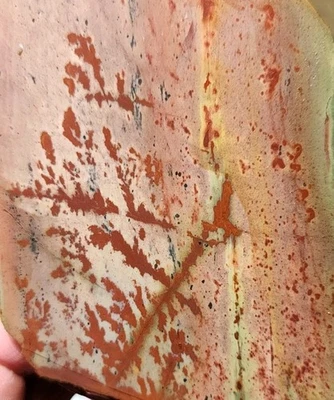 Flor de jaspe Owyhee - losa grande - lapidaria hermosa alta calidad. (84 gramos) Foto 1 de 4