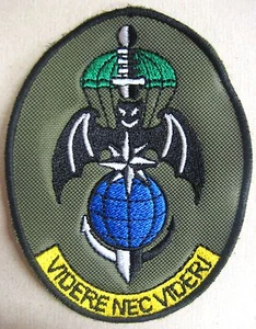 Color Patch ""185° RGT. RAO PARATROOPERS LIGHTNING"" (COMFOSE) - Type 1 - Rarity - Picture 1 of 1