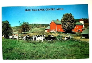 Hello From Sauk Centre MINN Postcard - Picture 1 of 2
