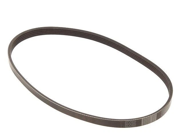 Multi Rib Belt For 2000-2004 Nissan Xterra 3.3L V6 2002 2003 2001 BB889DH - Image 1 of 1