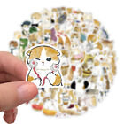 64Pcs Cute Cat Sticker Animal Decals Kids Toys Scrapbook Laptop Graffiti Sticker