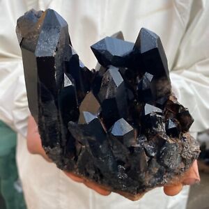 3.2lb Large Natural Smoky Black Quartz Crystal Cluster Raw Mineral Specimen