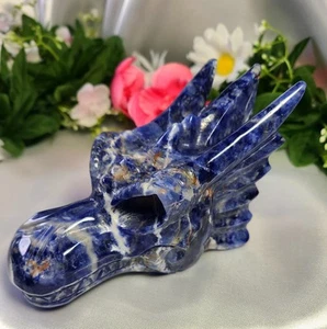 Grande Rara 5" 479g Bellissima Tramonto Sodalite Testa di Drago Teschio Cristallo Intaglio - Foto 1 di 23