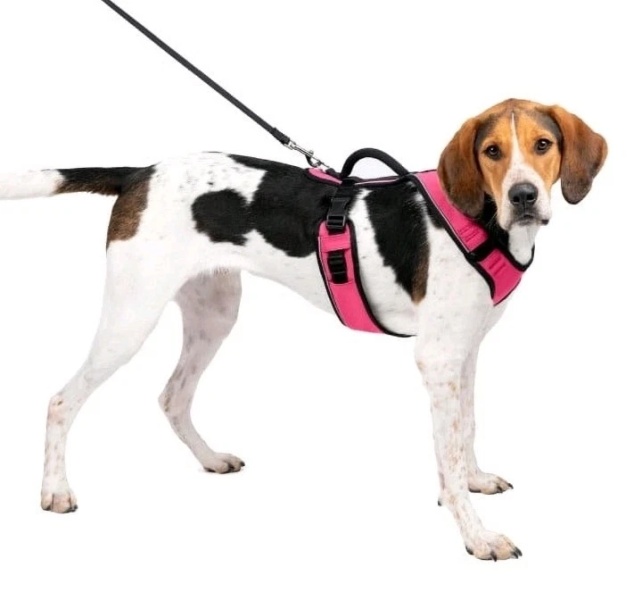 X2 PetSafe WM-ESPH-L-PNK Easy Sport Dog Harness Large Pink Adjustable Padded M - Image 1 of 4