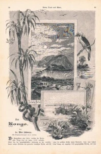 a102 1303 Franz Jüttner Max Schwarze Am Kongo Afrika Artikel / Bilder 1890 - Bild 1 von 2
