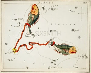 Pisces VTG Astrology Illustration Fine Art Giclee High Res 8x10 Print - Picture 1 of 2