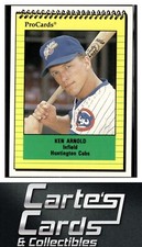 Ken Arnold 1991 ProCards #3339  Huntington Cubs