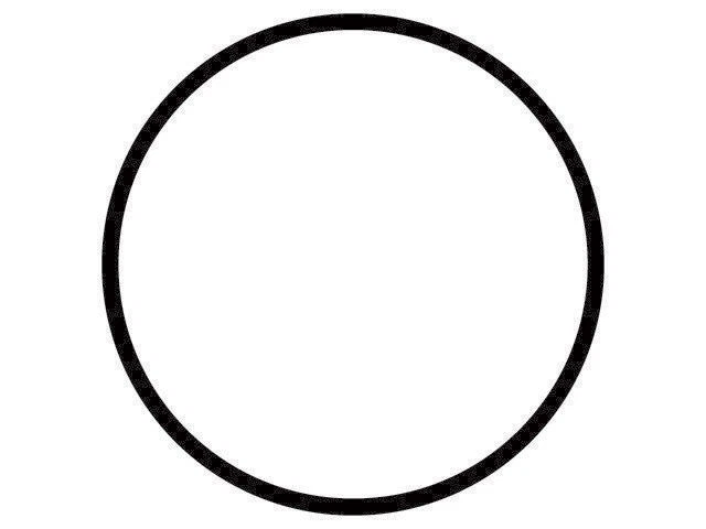 O-ring termostato Gates 83WY15M compatível com 2000-2003 Ford Excursion 7.3L V8 DIESEL - Imagem 1 de 1