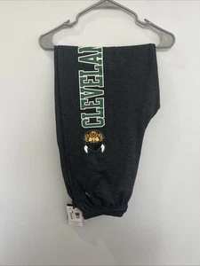 Champion Men's Closed Bottom Sweatpants Cleveland State University - Picture 1 of 7