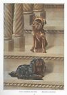 Brussels Griffon / King Charles Spaniel - 1927 Color Dog Art Print - Matted