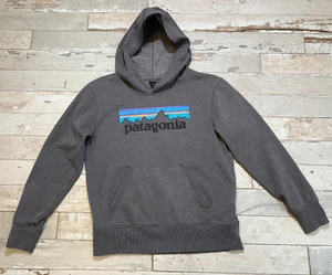 Patagonia Hoodie Pullover Sweatshirt Graphic Logo Gray YOUTH LARGE - Picture 1 of 10