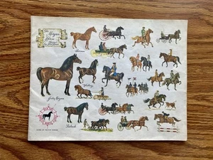 The Morgan Horse America’s First Breed, Soft Cover, Red Fox Stables, Gilroy, CA - Imagen 1 de 8