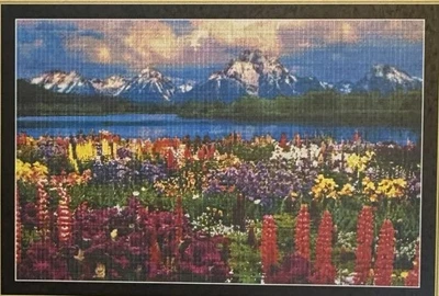 Mystic Stitch GRAND TETON punto de cruz patrón gráfico 26,75x17,75” RARO Foto 1 de 3