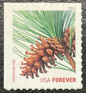 2010 #4482, Forever, EVERGREENS - PONDEROSA PINE - Mint NH - ATM Booklet Single - Picture 1 of 1