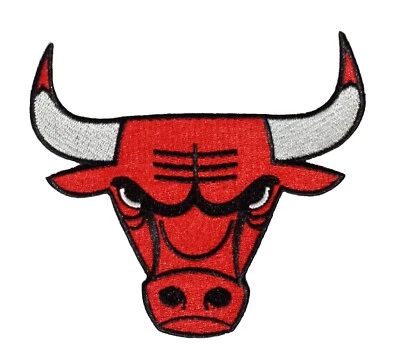 Chicago Bulls NBA Basketball Embroidered Iron On Patch - Image 1 of 4