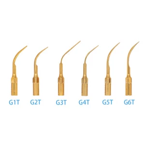 6Pcs Dental Scaling Tips G1T-G6T for EMS/Woodpecker Ultrasonic Scaler Handpiece - Picture 1 of 8