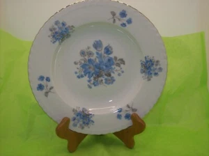 CZECHOSLOVAKIA "BLUE FLOWERS" RIMMED SOUP BOWL FINE BOHEMIAN CHINA - Picture 1 of 3