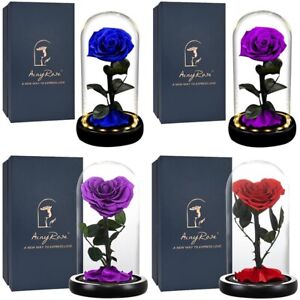 Forever Preserved LED Rose Gift Dome Flower Valentine Day Eternal Glass Wedding