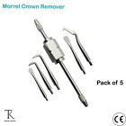 5 PCs- Dental Restorative instruments Morrel Crown Remover With 5 Attachments CE