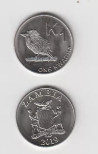ZAMBIA: 1 moneta Kwacha (2019) ottime condizioni - Foto 1 di 1