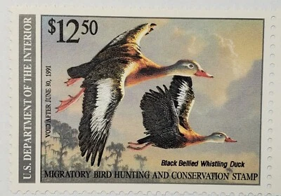 US Federal Duck Hunting Stamp Mint No Hinge Scott# RW57  - Imagem 1 de 4