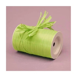 Lime Raffia | Lime Colored Matte Raffia Ribbon - 1/4in. x 100 Yds (pm4434864) - Picture 1 of 1