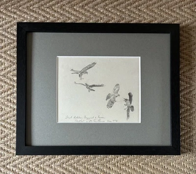 JOHN CYRIL HARRISON (1898-1985)- Lápiz doble entre buitre y cuervo. COMO NUEVO Foto 1 de 4