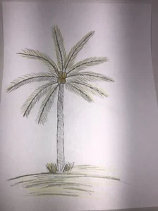 handmade drawings for school children . Elementary Paint Coconut Palm Tree - Picture 1 of 6