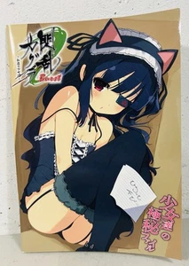 SENRAN KAGURA BURST Nintendo 3DS ART BOOK w/ PROMO Soundtrack Drama CD - Picture 1 of 3