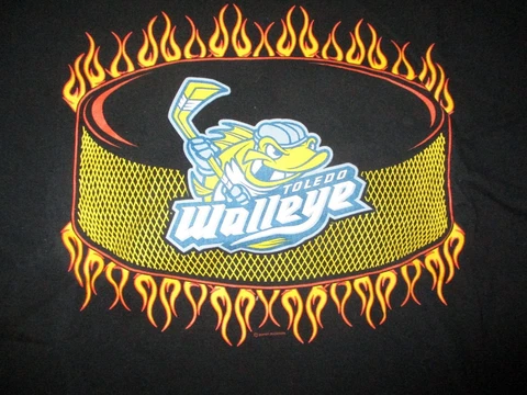 Black TOLEDO WALLEYE Logo T Shirt Kids XL 100% Cotton #2 Cover