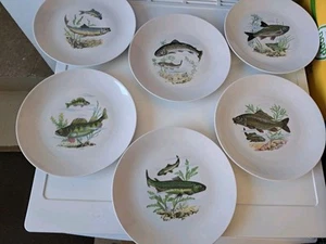 DDR Kahla Könitz Porzellan, 6 Ess-Teller mit verschiedenen Fischmotiven - Bild 1 von 5