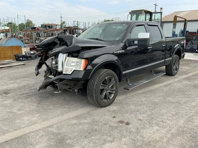 Ford F150 2010 pasajero puerta trasera panel de moldura OEM Foto 1 de 4