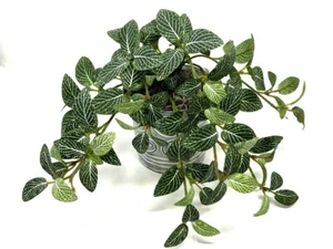 Planta de seda sintética nervio Fittonia verde artificial de 8" en maceta en cerámica abstracta de 4" - Imagen 1 de 5