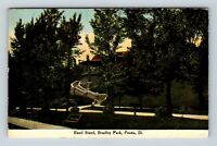 Illinois Beautiful Antique Linen Postcard of Detweiler Park Picnic Grounds in Peoria