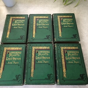 FLOWERING PLANTS, GRASSES, SEDGES, AND FERNS OF GREAT BRITAIN - 6 Volume set - Bild 1 von 24