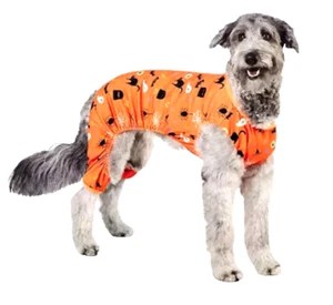 Hunde Schlafanzug HALLOWEEN Outfit XL Neu mit Etikett Baumwolle Kostüm Pyde & Eek orange Katze Fledermaus - Bild 1 von 3