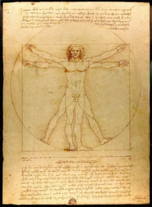 LEONARDO DA VINCI - Vitruvian Man - QUALITY CANVAS PRINT - 30x20cm - Bild 1 von 1