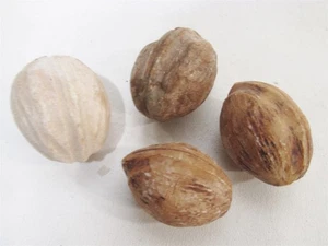 Nuez de piedra de alabastro italiana antigua natural tamaño 4 nueces - fruta vegetal - Imagen 1 de 5
