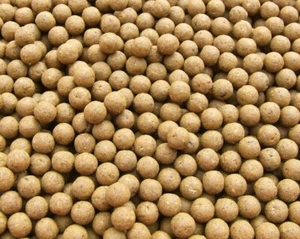 White Chocolate Shelflife Fishmeal Boilies 18MM Carp Fishing All Pack Sizes - Picture 1 of 5